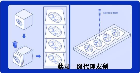 齐齐哈尔蔡司齐齐哈尔扫描电镜